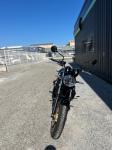 KAWASAKI Z650 RS - Z650 RS - A2